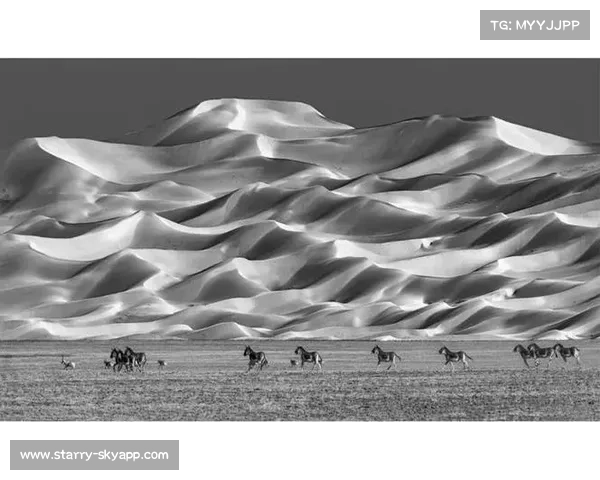 新华社战地记者荣获国际体育记者协会年度最佳摄影奖殊荣 新华社战地记者荣获国际体育记者协会年度最佳摄影奖殊荣