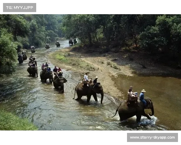 珀斯光荣公布2026年亚洲之旅计划积极扩展国际赛事版图助力俱乐部发展 珀斯光荣公布2026年亚洲之旅计划积极扩展国际赛事版图助力俱乐部发展